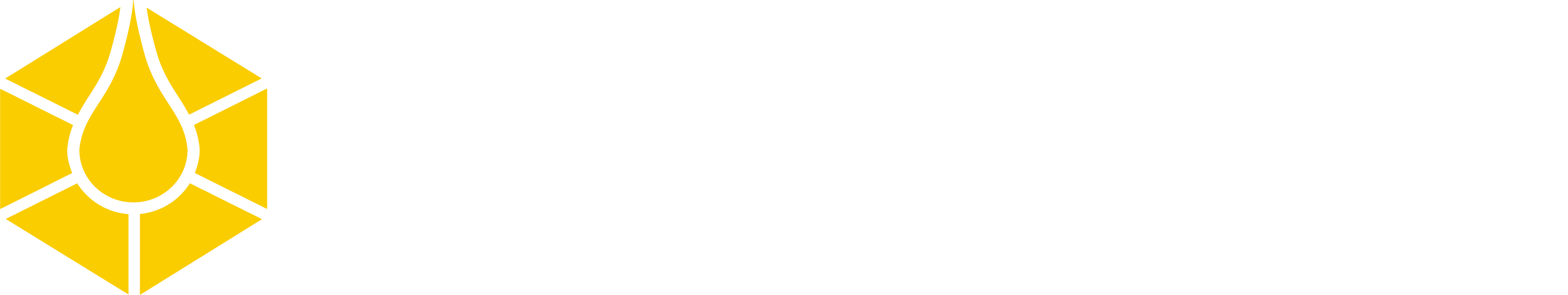 Timeless Logo